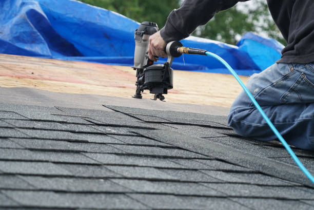 Best Roof Gutter Cleaning  in Destrehan, LA